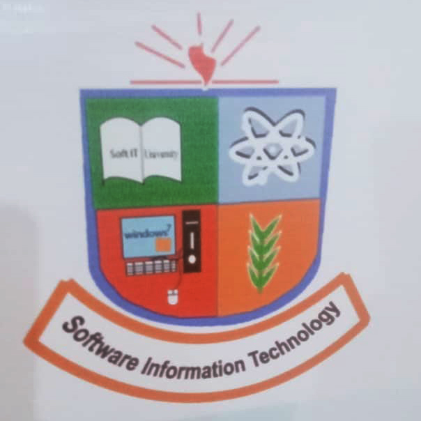 software information technology