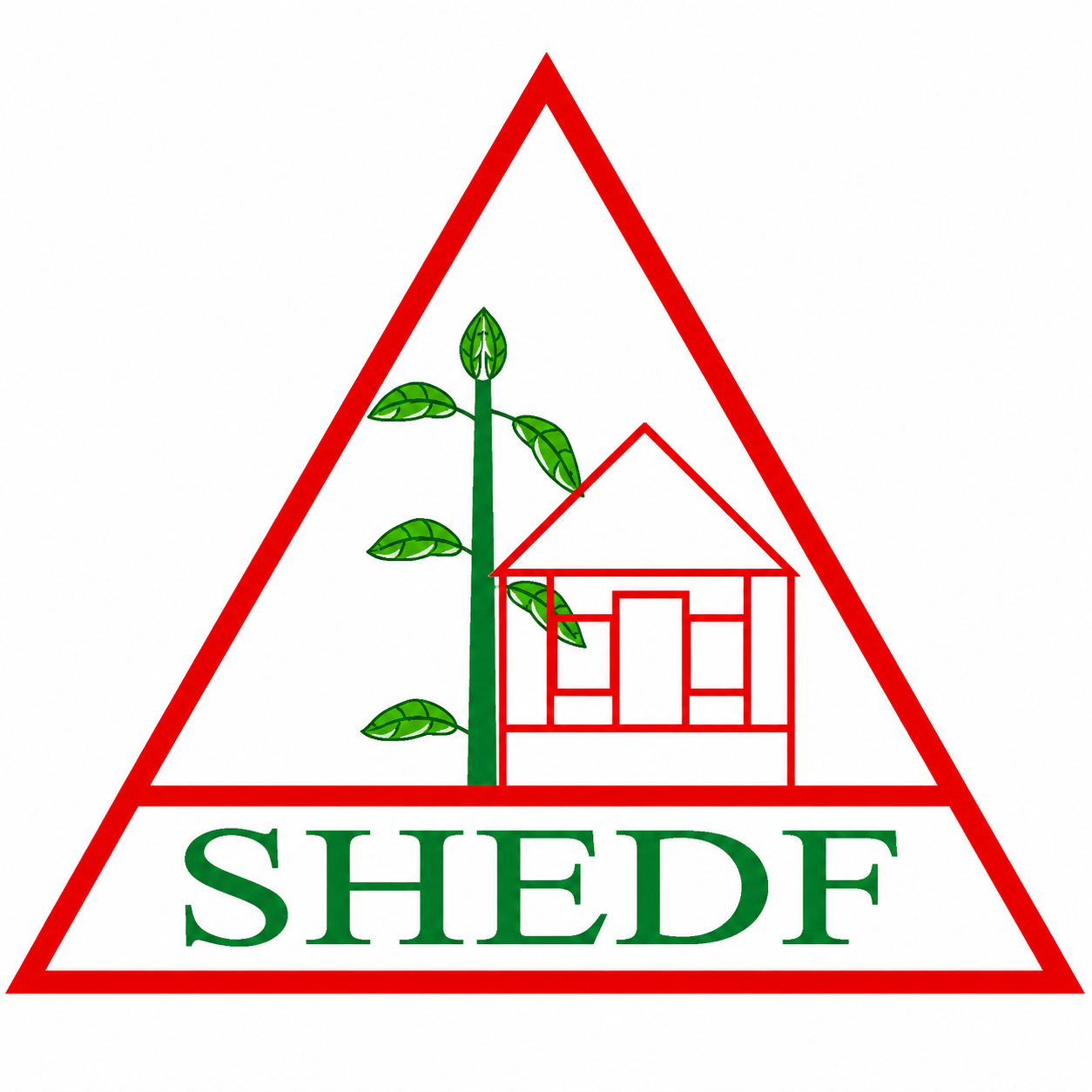 Sejuti Health and Education Development Foundation (SHEDF)
