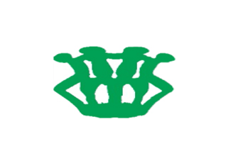 GRASSROOT Professional Institute