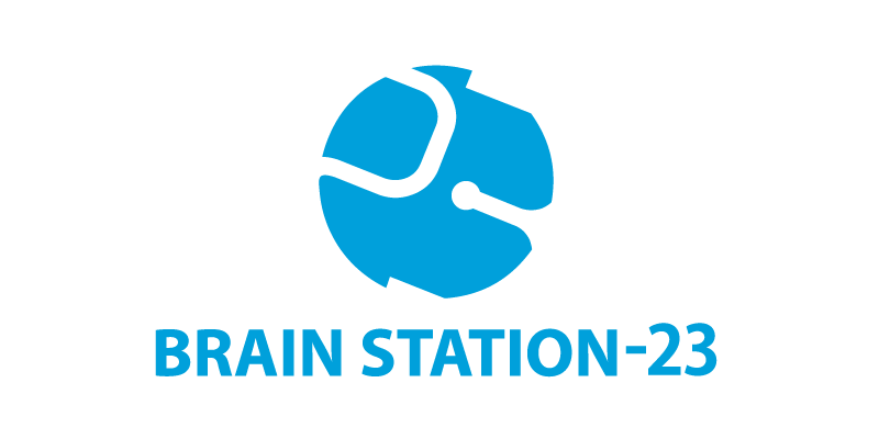 Brain Station 23 LTD