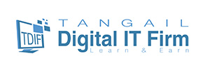 Tangail Digital IT Firm